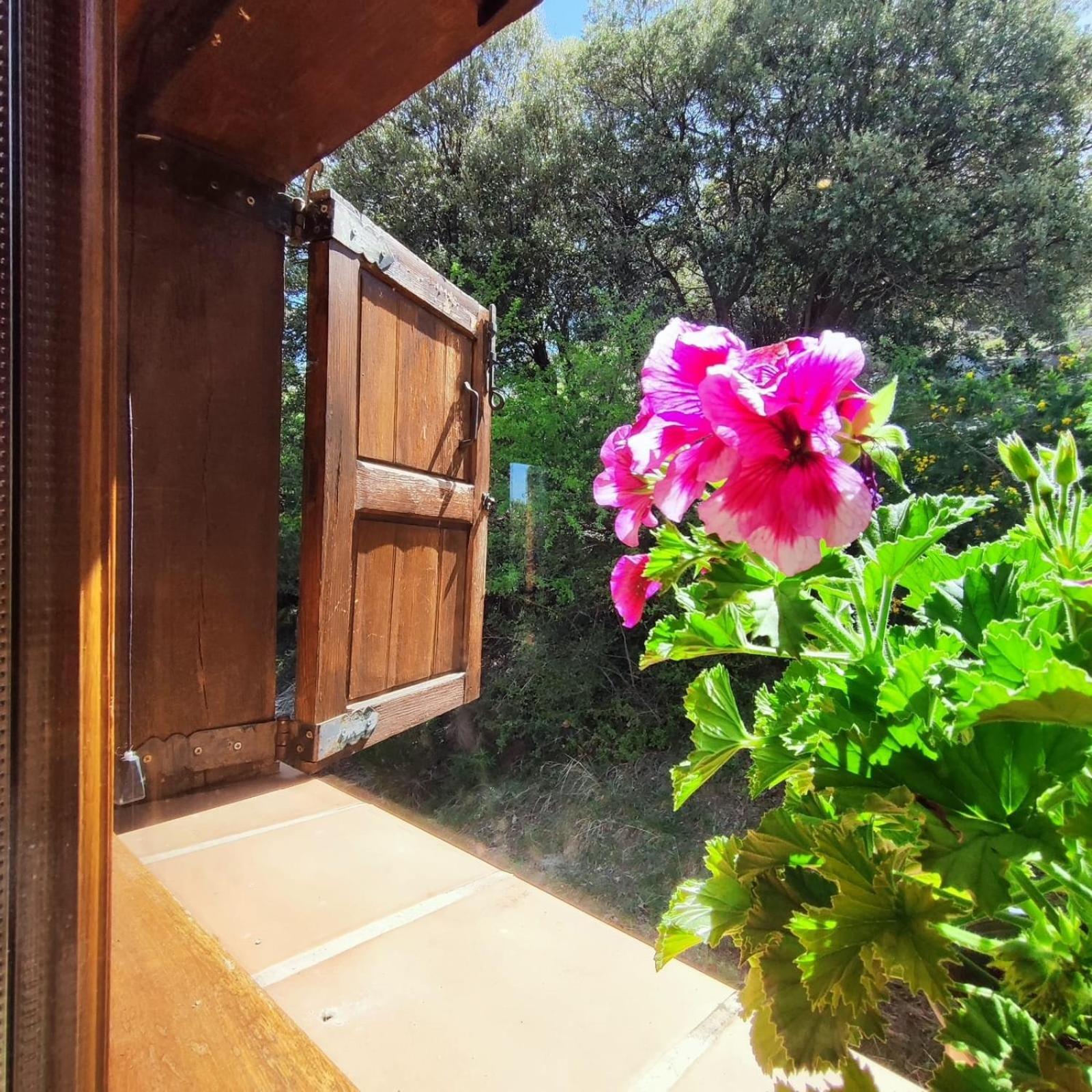 Gasthaus Refugio Del Aguila "Casa Diaman" Guejar Sierra Exterior foto