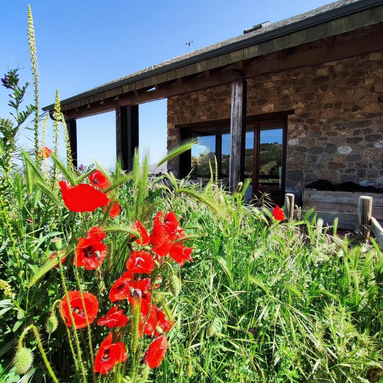 Gasthaus Refugio Del Aguila "Casa Diaman" Guejar Sierra Exterior foto